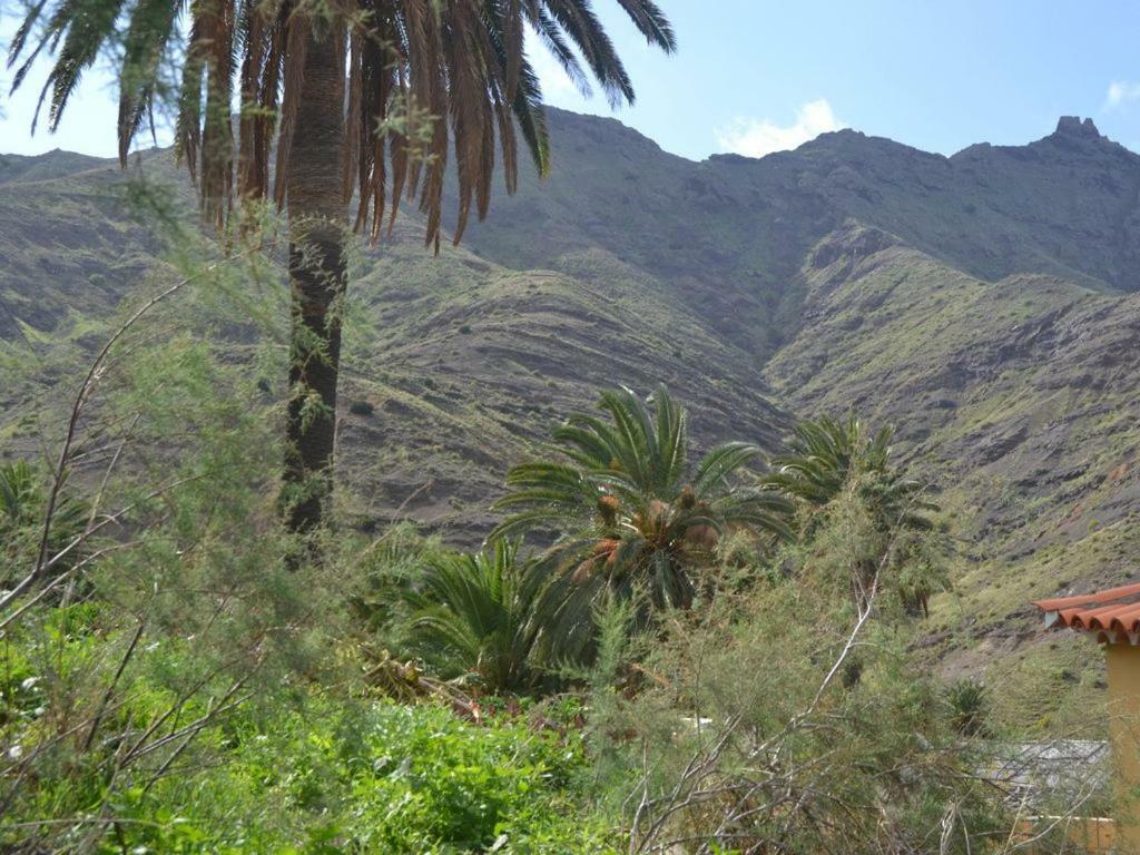 Alojera Casa Los Palmeros Perdomo المظهر الخارجي الصورة